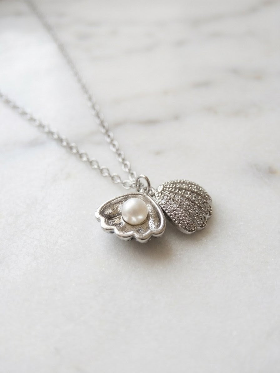 Silver Pearl Clam